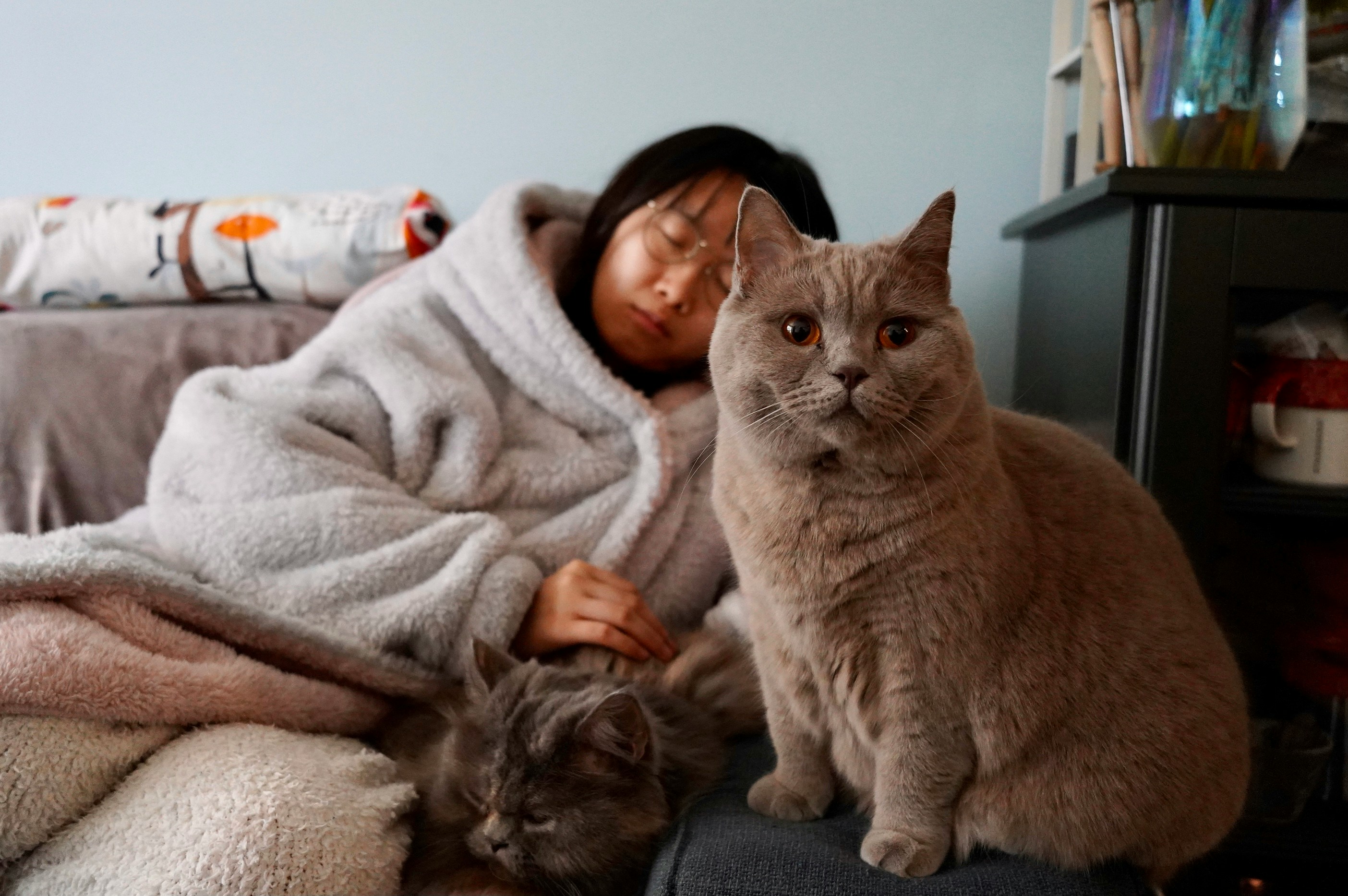 Snowball's Owner